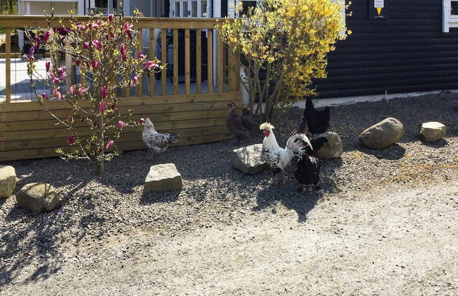 Holiday Home in Sölvesborg - Photo 13