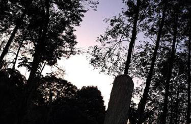 Imersão cascata - Foto 37