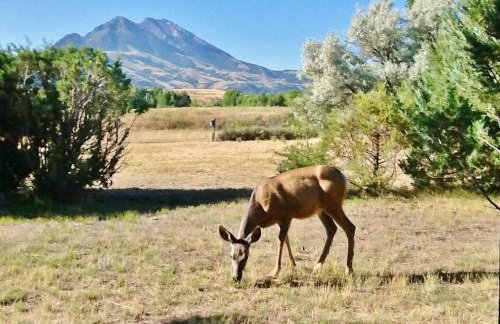 Emigrant Cabin on 10 Acres with BBQ and Peaceful Views - Foto 30