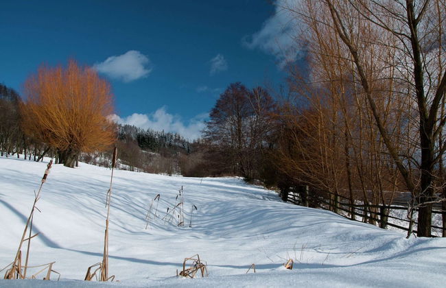 Comfortable Detached House With Large Garden - Photo 32