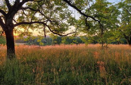 Clos Lamonzie - Foto 40