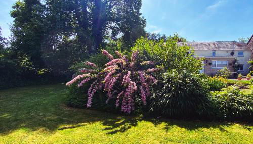 Silhouette Cottage - Foto 3