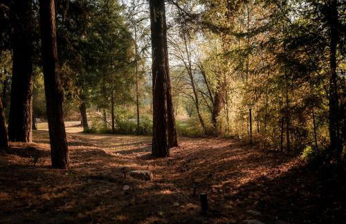 Tranquil Nature Retreat on 12 acres! - Foto 25