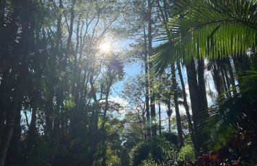 Sítio Mato Dentro - Foto 47