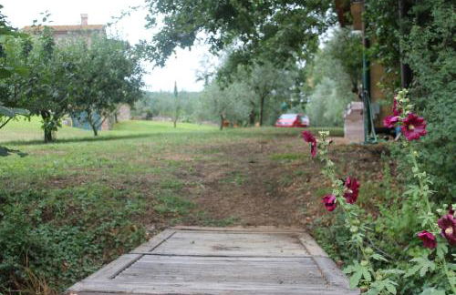 Podere Stollo - Foto 28