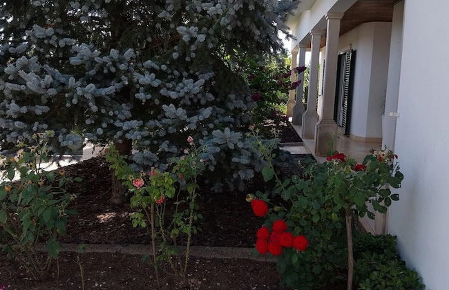 Casa com ALma - Foto 17