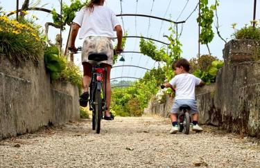 Quinta da Cumieira - Foto 80