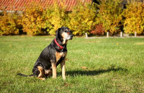 Uroczysko Deresze - Foto 69