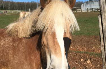 Holiday Home Near Lake and Leisure in Clos du Bannet - Foto 63