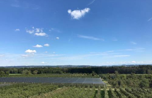 Bergchalet Mirabell - Hofgut - Foto 21