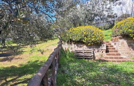 La buona sosta sulla Francigena - Photo 16