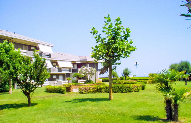 Green Marine, Palme, Ismare - Foto 15