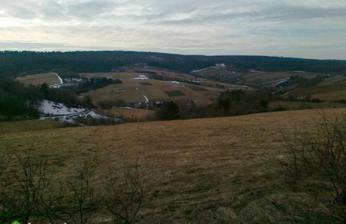 EkoTurystyka Natura Gwiazd - Green Velo - Workation Park - Ziołowy Klimat Bieszczad - Foto 17