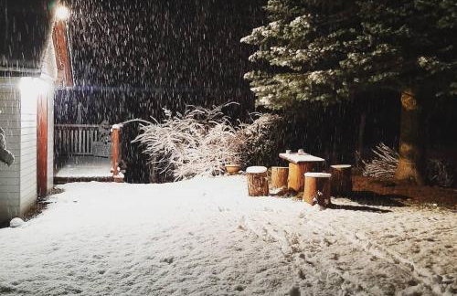 Niezapominajka - Foto 2