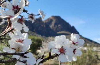 Alojamiento rural Los Pérez Lucainena de las Torres - Foto 56