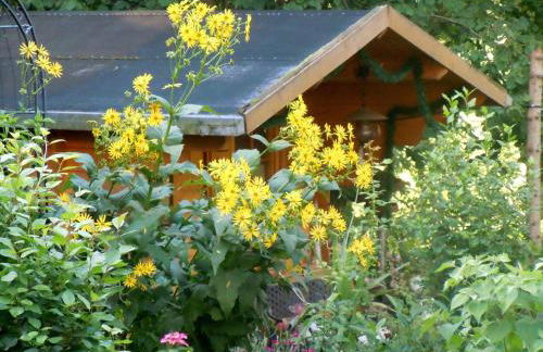 FERIENINSEL AN DER DREISAM - Foto 11