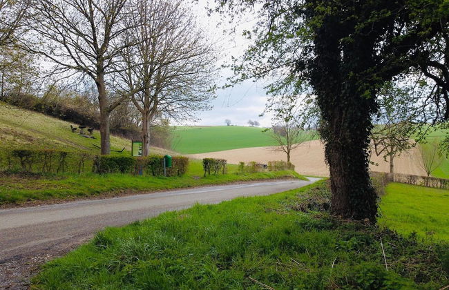 Pet-friendly Country Escape - Photo 35