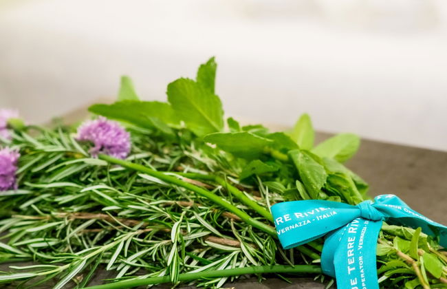 Camaella Luxury Studio - Foto 7