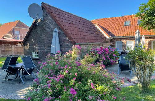 Seestern am Naturstrand - Foto 32