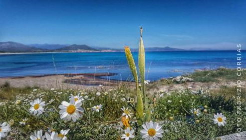 MONOLOCALE YELLOW - Foto 2