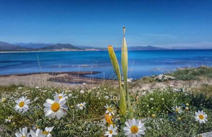 MONOLOCALE YELLOW - Foto 2