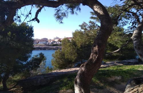 Carro duplex les pieds dans l'eau et la tête dans les pins - Foto 14