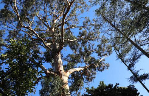 Villa Teresa - Foto 76