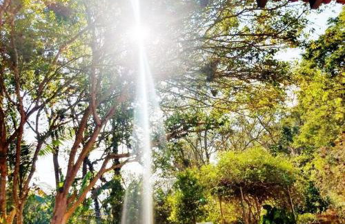 Sítio Preguiça - Foto 50