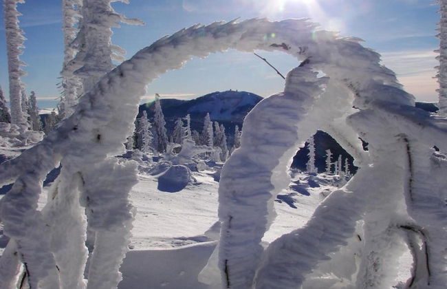 Quaint Holiday Home in Železná Ruda near Ski Area - Foto 40