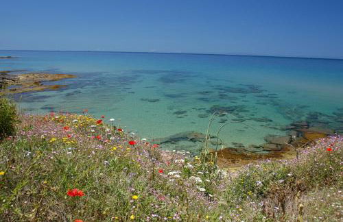 Sogno di Rena - Foto 39