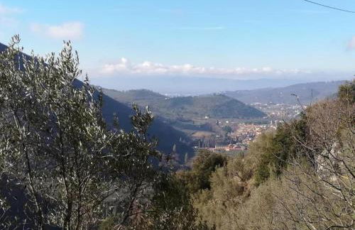 Elegant apartment in resort with swimming pool featuring nature and tranquillity - Foto 55