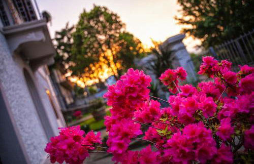 Villa Elvira - Foto 34