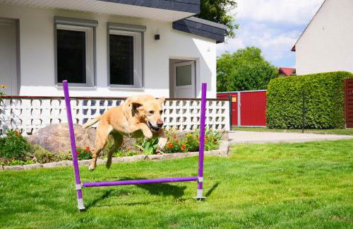 Haus Kleiner Findling im Lausitzer Seenland - Foto 38