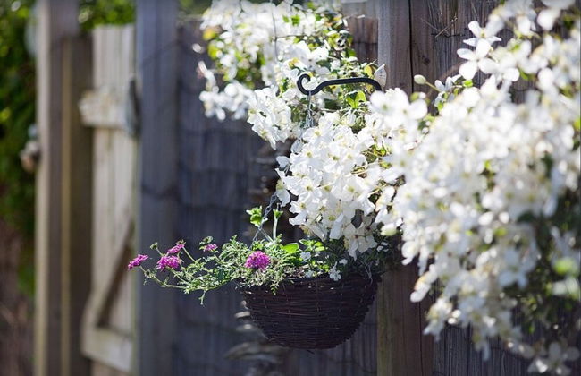 Fabulous House Very Near Charlestown Harbour - Foto 26