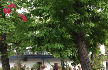 Corral Montelucía Siglo XVI - Foto 19