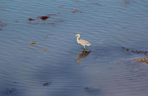 Sunset Cabin by the Sea, Log cabin stunning views - Photo 26