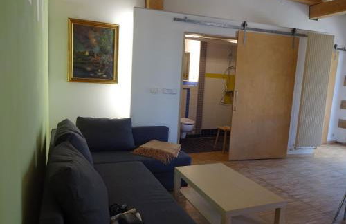 Alte Scheune Rietzschelhof mit Pool - Foto 16