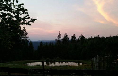 Landhaus Haid - Foto 14