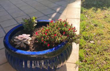 Casa degli Ulivi - Foto 11