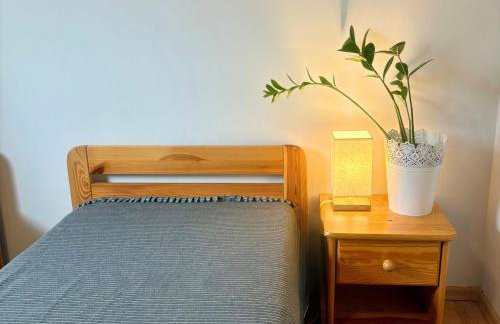 Domek nad Paklicą - Foto 11