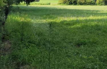 Cécile - Mas de Rousseau - Foto 23