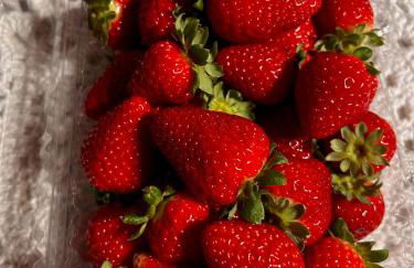 Chalé Caminho do Sol - Foto 18