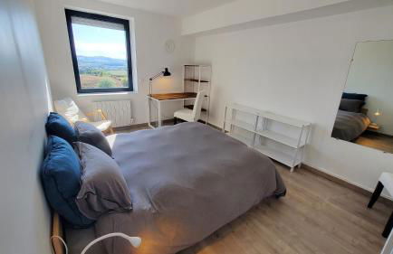 L'Ecrin de Saint Genest Lerpt - Belle vue et Calme - Foto 4