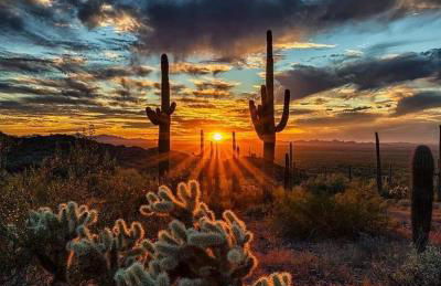 Kimberly Surprise - Foto 69