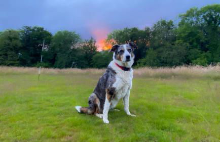 MotoCamp Wales -Camping Pods - Foto 36