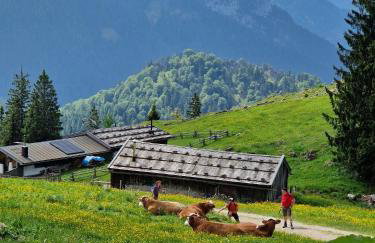 Panorama-Suite-Chiemsee - Photo 25