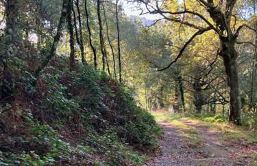 A Casa da Fonte - Foto 18