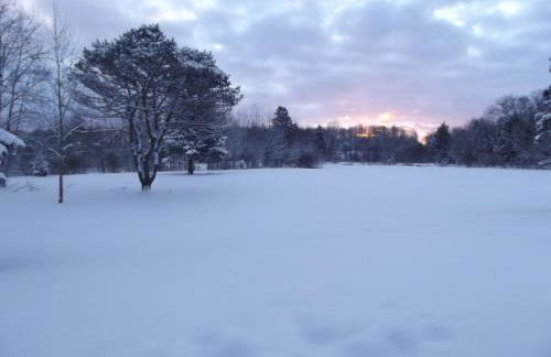 Rifle River Lodge - Foto 7