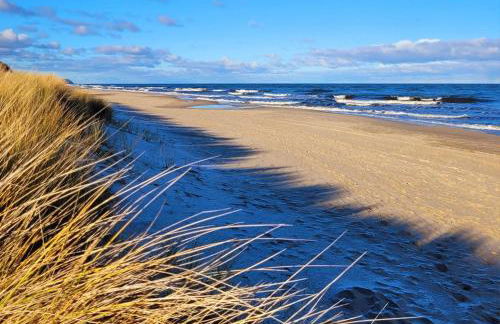 Ostsee-Urlaub-Zempin direkt am Küstenwald, nur wenige Minuten zum Strand, optimal für Paare mit 1 Hund bis 45 cm Schulterhöhe - Foto 30