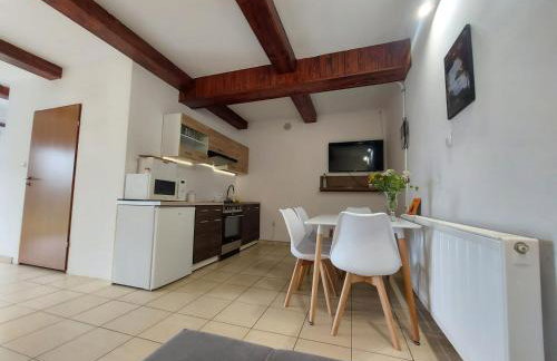 Mieszkanie nad jeziorem Rydzówka+prywatny staw+plaża+Mazury - Foto 27